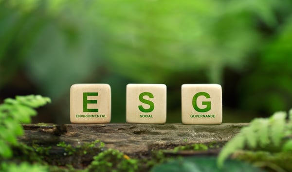 iStock-1427250027 cropped